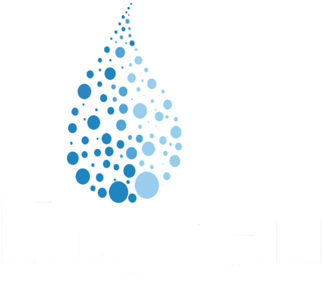 limpbem logo